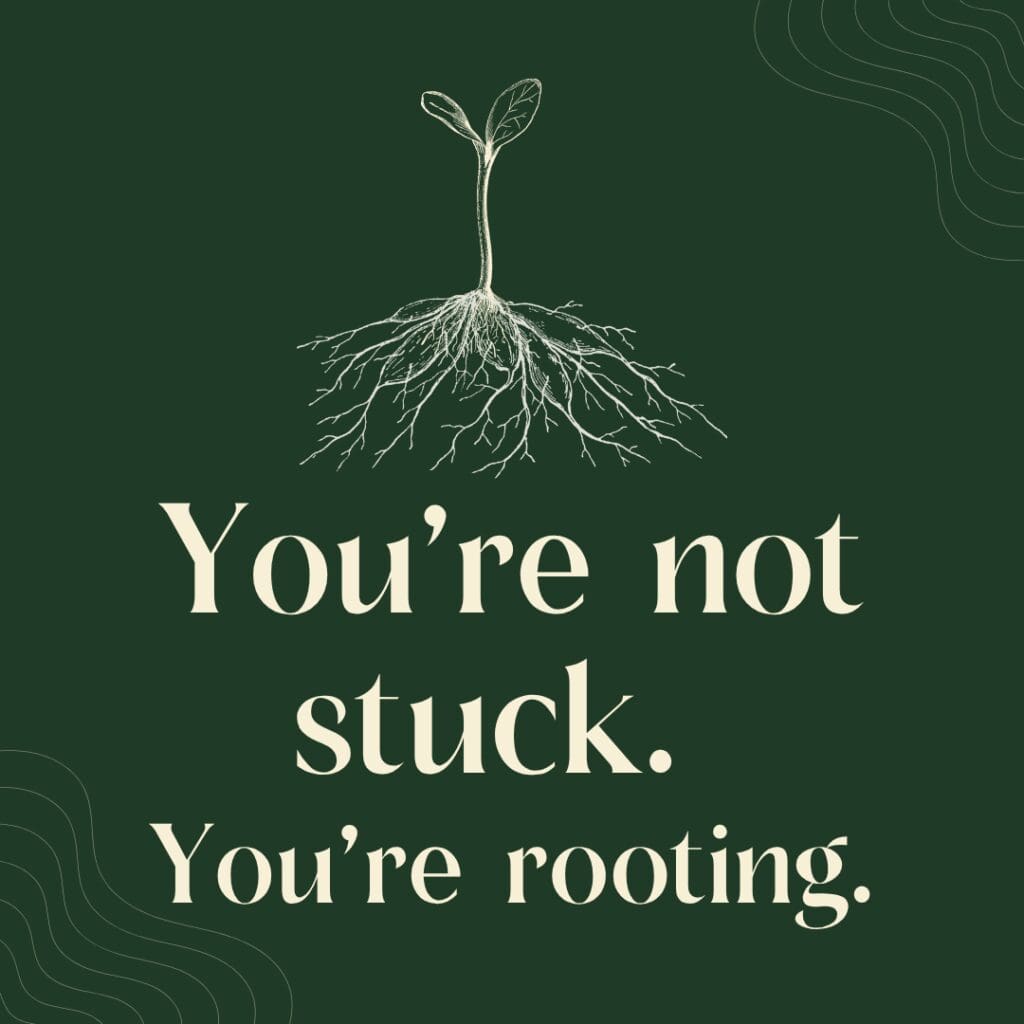 17 - Day 4 Image 2 - You’re Not Stuck. You’re Rooting